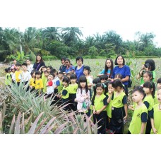 Excursion 